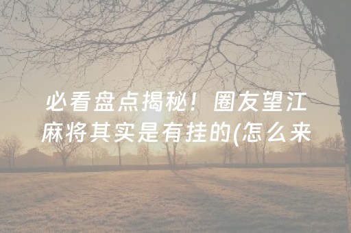 必看盘点揭秘！圈友望江麻将其实是有挂的(怎么来好牌)
