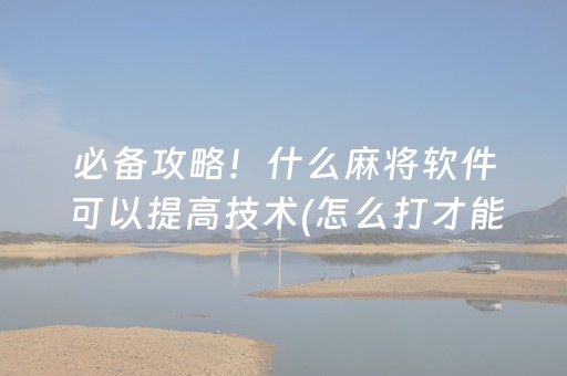 必备攻略！什么麻将软件可以提高技术(怎么打才能赢)
