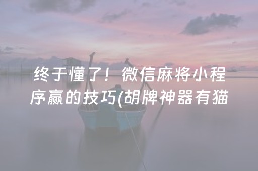 实测结果“手机打麻将老是输是不是系统问题”（详细透视教程）-哔哩哔哩