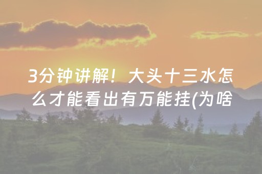 3分钟讲解！大头十三水怎么才能看出有万能挂(为啥总是输)