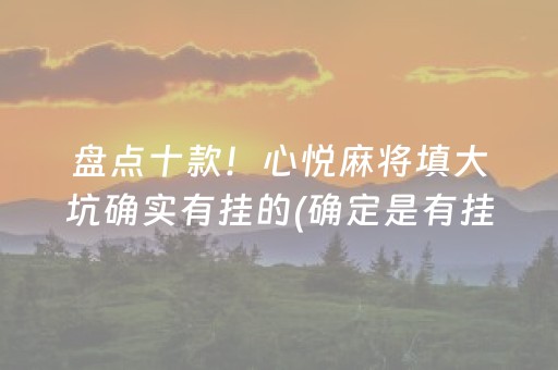 盘点十款！心悦麻将填大坑确实有挂的(确定是有挂)