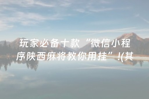 玩家必备十款“微信小程序陕西麻将教你用挂”!(其实确实有挂)-抖音