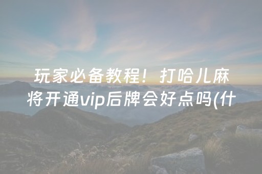 必看教程“下载微乐插件（专用辅牌神器免安装）