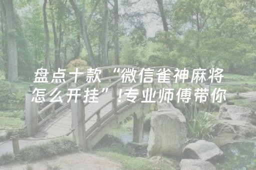 盘点十款“微信雀神麻将怎么开挂”!专业师傅带你一起了解（详细教程）-抖音