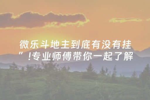 微乐斗地主到底有没有挂”!专业师傅带你一起了解（详细教程）-抖音