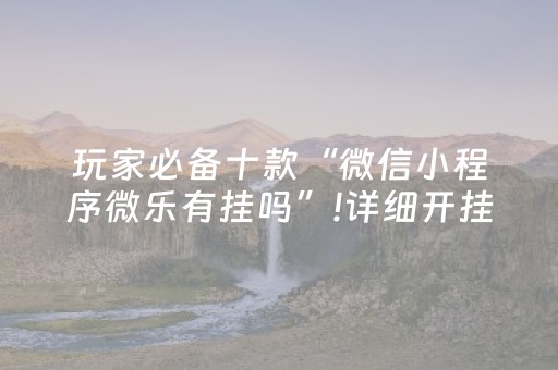 玩家必备十款“微信小程序微乐有挂吗”!详细开挂教程-抖音