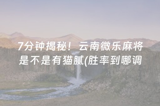 7分钟揭秘！云南微乐麻将是不是有猫腻(胜率到哪调)