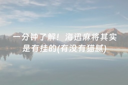 一分钟了解！海迅麻将其实是有挂的(有没有猫腻)