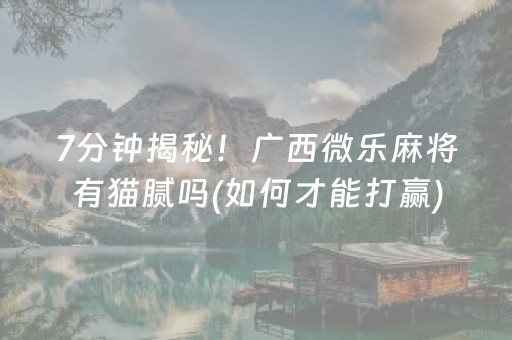 玩家必看攻略“手机扑克牌牌辅助器软件（专用辅牌神器免安装）
