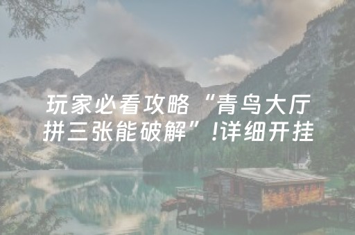 今日盘点“陕麻圈捉老麻辅助器”（详细开挂教程）-哔哩哔哩