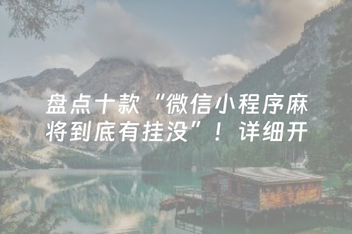 3分钟学会“手机打麻将软挂神器（助赢神器通用版）