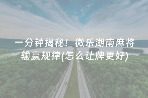分享辅助“手机跑得快辅助软件（专用辅牌神器免安装）