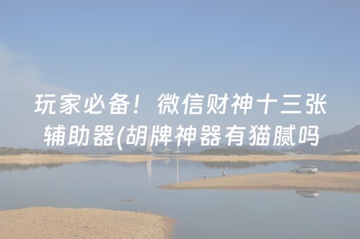 实测结果“小程序麻将控牌器免安装（专用辅牌神器免安装）