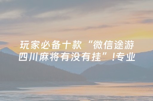 玩家必备十款“微信途游四川麻将有没有挂”!专业师傅带你一起了解（详细教程）-抖音