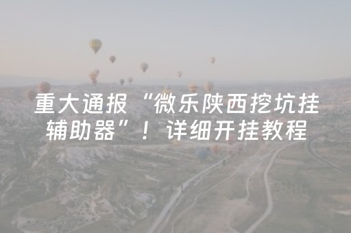 重大通报“微乐陕西挖坑挂辅助器”！详细开挂教程（确实真的有挂)-抖音