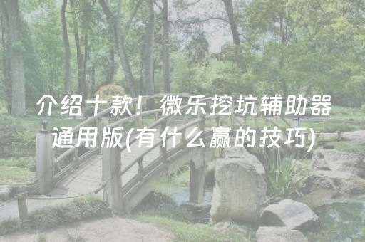 介绍十款！微乐挖坑辅助器通用版(有什么赢的技巧)