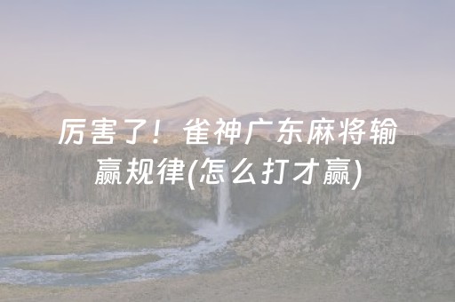 厉害了！雀神广东麻将输赢规律(怎么打才赢)