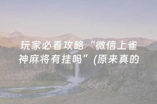 玩家必看攻略“微信上雀神麻将有挂吗”(原来真的有挂)-抖音