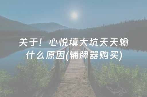 关于！心悦填大坑天天输什么原因(辅牌器购买)