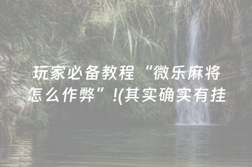 玩家必备教程“微乐麻将怎么作弊”!(其实确实有挂)-抖音
