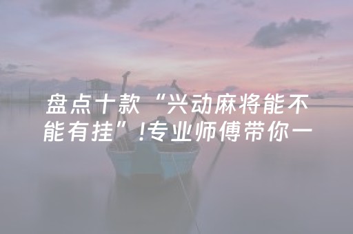 盘点十款“兴动麻将能不能有挂”!专业师傅带你一起了解（详细教程）-抖音
