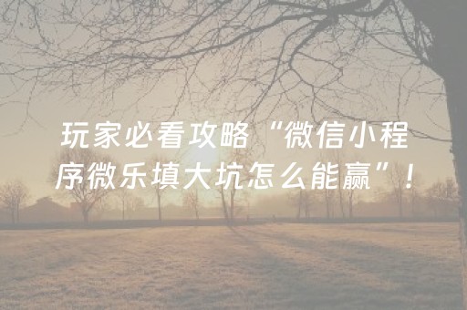玩家必看攻略“微信小程序微乐填大坑怎么能赢”!(确实是有挂)-抖音