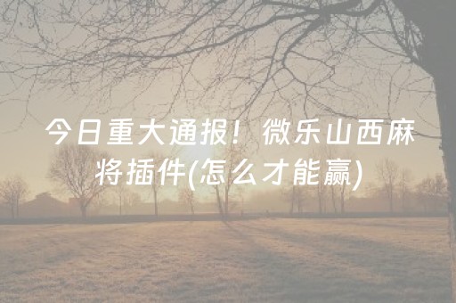今日重大通报！微乐山西麻将插件(怎么才能赢)