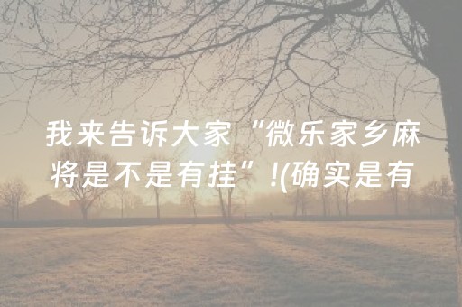 我来告诉大家“微乐家乡麻将是不是有挂”!(确实是有挂)-抖音
