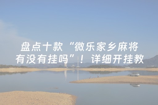盘点十款“微乐家乡麻将有没有挂吗”！详细开挂教程（确实真的有挂)-抖音
