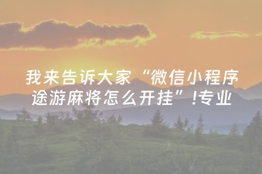 我来告诉大家“微信小程序途游麻将怎么开挂”!专业师傅带你一起了解（详细教程）-抖音