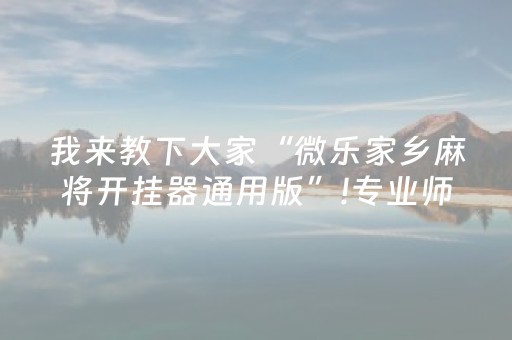 实测结果“麻将机程序安装器随身携带（专用辅牌神器免安装）