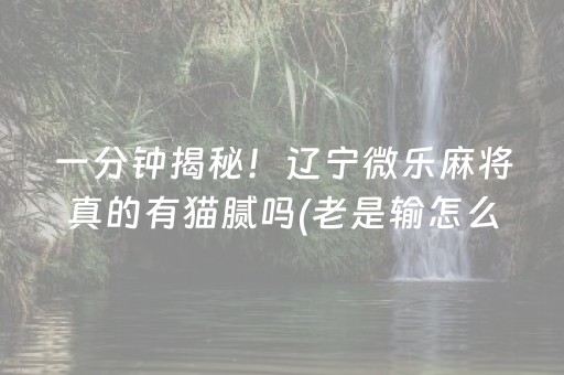实测结果“决战卡五星外挂意示图（专用辅牌神器免安装）