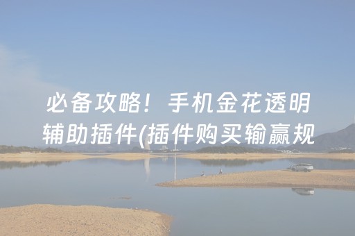 必备攻略！手机金花透明辅助插件(插件购买输赢规律)