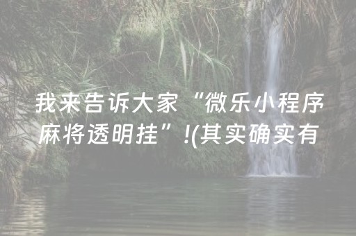 我来告诉大家“微乐小程序麻将透明挂”!(其实确实有挂)-抖音