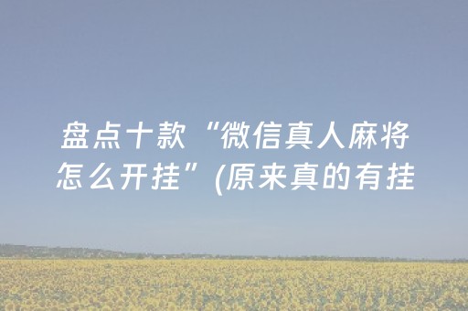盘点十款“微信真人麻将怎么开挂”(原来真的有挂)-抖音