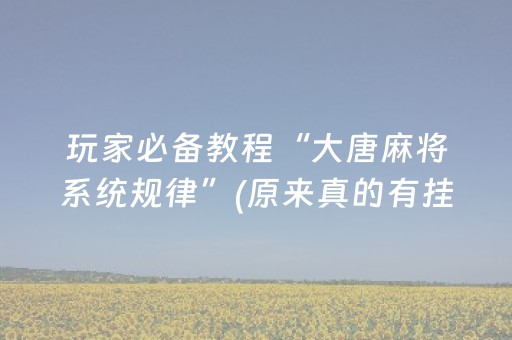 实测教程“雀神广东麻将助赢神器（助赢神器通用版）