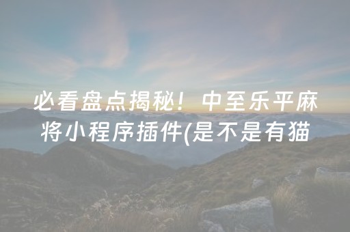 必看盘点揭秘！中至乐平麻将小程序插件(是不是有猫腻)