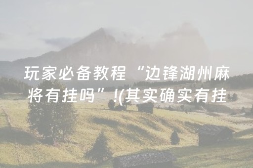 玩家必备教程“边锋湖州麻将有挂吗”!(其实确实有挂)-抖音