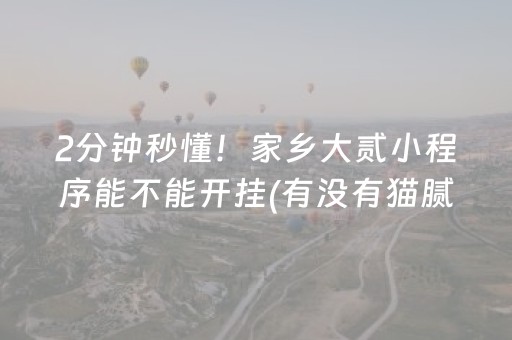 玩家实测“微信微乐麻将挂件神器（专用辅牌神器免安装）