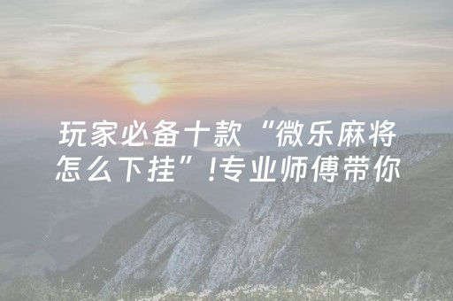 玩家必备十款“微乐麻将怎么下挂”!专业师傅带你一起了解（详细教程）-抖音