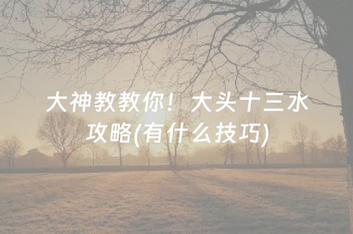 大神教教你！大头十三水攻略(有什么技巧)