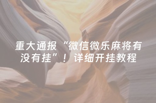 重大通报“微信微乐麻将有没有挂”！详细开挂教程（确实真的有挂)-抖音