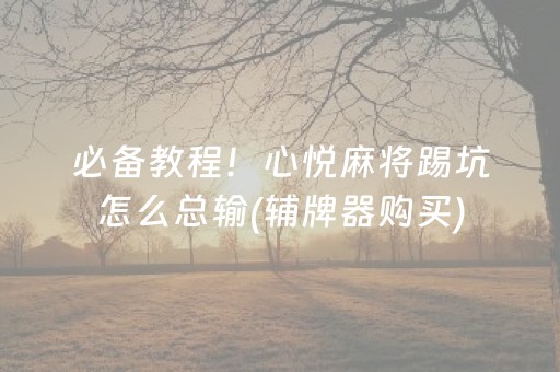 必备教程！心悦麻将踢坑怎么总输(辅牌器购买)