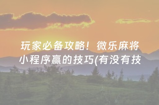 玩家必备攻略！微乐麻将小程序赢的技巧(有没有技巧)