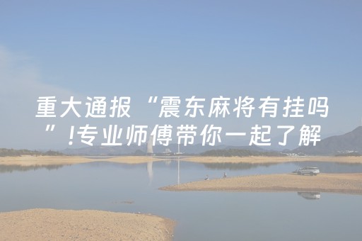 重大通报“震东麻将有挂吗”!专业师傅带你一起了解（详细教程）-抖音
