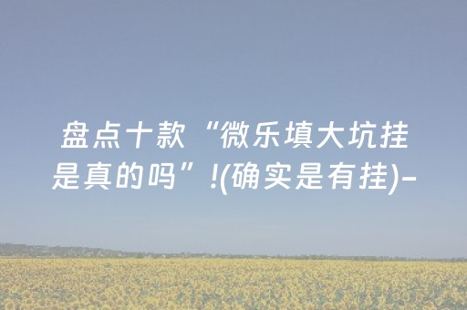 盘点十款“微乐填大坑挂是真的吗”!(确实是有挂)-抖音