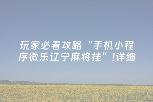 玩家必看攻略“手机小程序微乐辽宁麻将挂”!详细开挂教程-抖音