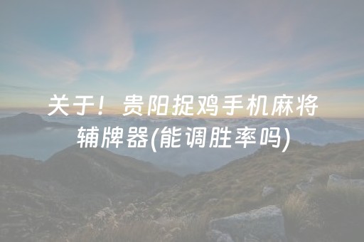 关于！贵阳捉鸡手机麻将辅牌器(能调胜率吗)