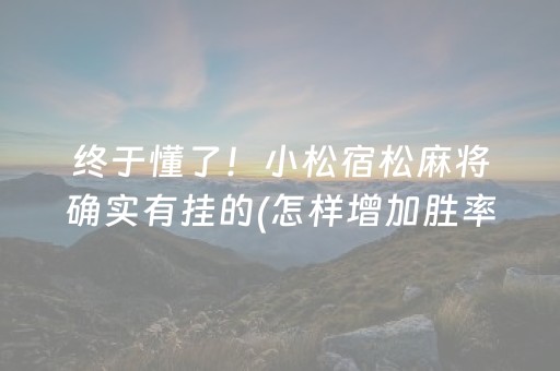 终于懂了！小松宿松麻将确实有挂的(怎样增加胜率)