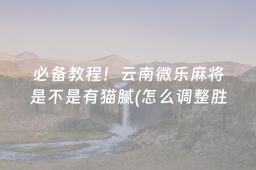 必备教程！云南微乐麻将是不是有猫腻(怎么调整胜率)